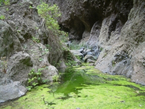 Wasserfläche im Barranco del Infierno