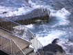 elhierroplayacaleta2