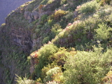 el hierro mirador de isora 7