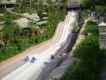 Naga Racer Siam Park