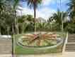 Parque Garcia Sanabria Teneriffa