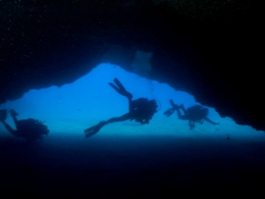 Tauchen Teneriffa Diversity 4