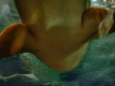 Hai über den Besuchern im Loro Parque Aquarium