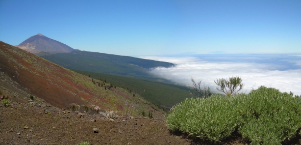 Wetter und Klima Teneriffa
